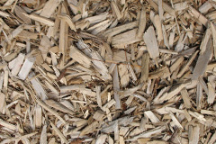 biomass boilers Jemimaville